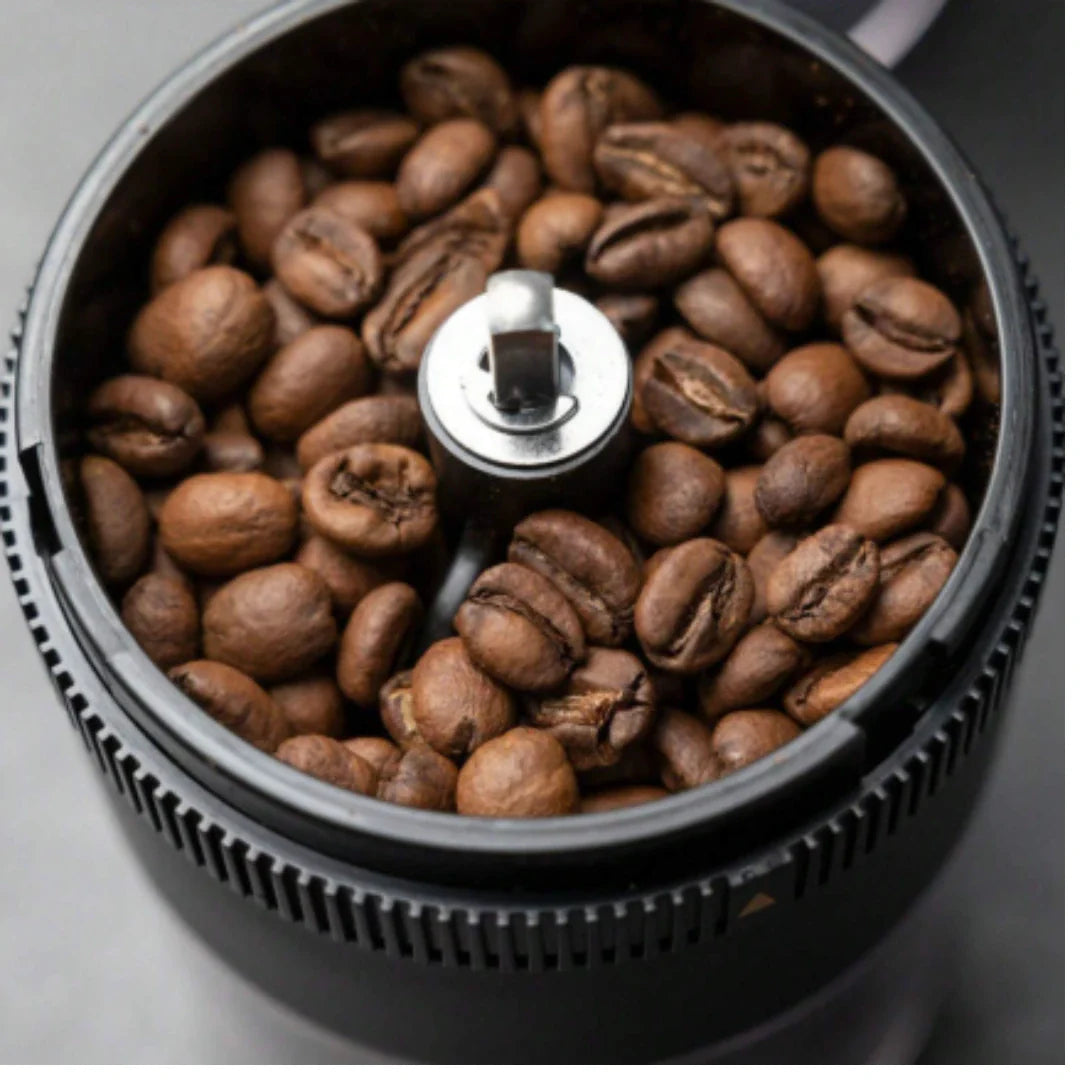 Moedor Elétrico de Temperos